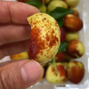 1斤当季鲜枣 商品缩略图2