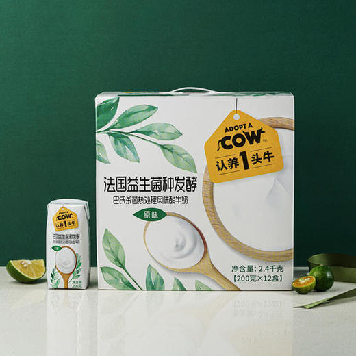 认养一头牛全脂纯牛奶整箱250ml*12法式原味常温酸奶200g*12 商品图0