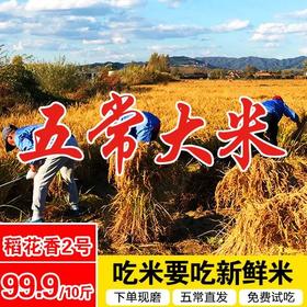  五常大米是怎样练成的？带你深入原产地，了解优质大米的前世今生！ 