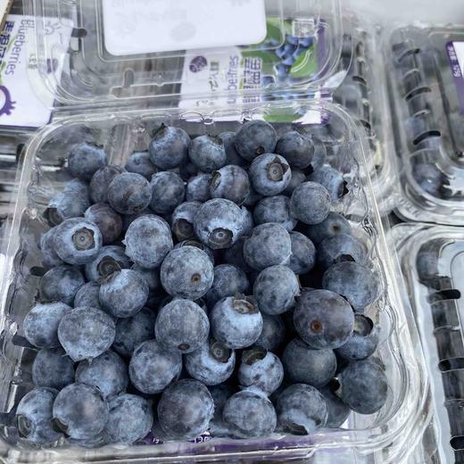 浙江盐碱地素提蓝莓，活动价98一箱 商品图4