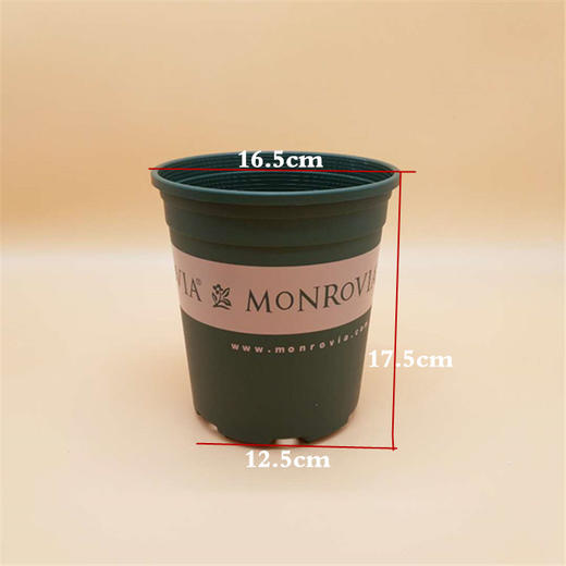 1加仑盆+底座 商品图2