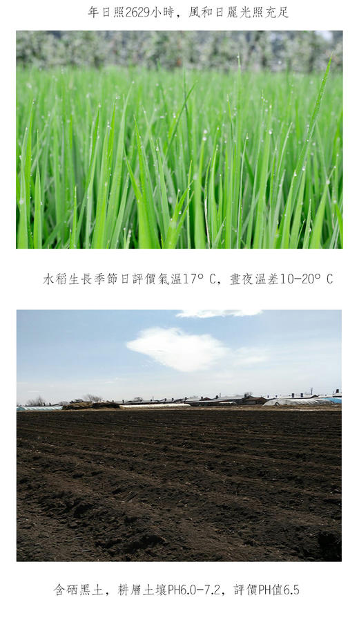 口感大米 · 长粒香 商品图2