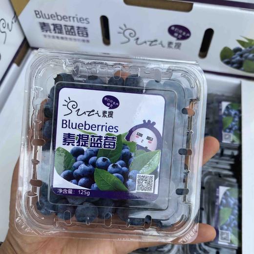 浙江盐碱地素提蓝莓，活动价98一箱 商品图1
