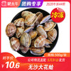 【团购】无沙大花蛤500g/袋 商品缩略图0
