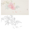 张莉莉横幅没骨画工笔花鸟白描底稿 ZA12 商品缩略图0