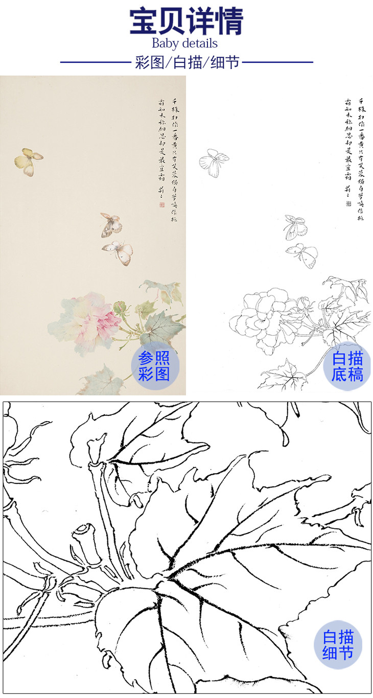 张莉莉竖幅没骨画工笔花鸟白描底稿za23