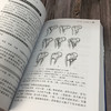 骨科医师查房手册 商品缩略图5