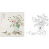 张莉莉没骨画工笔花鸟白描底稿-斗方小品册页 ZA02 商品缩略图0