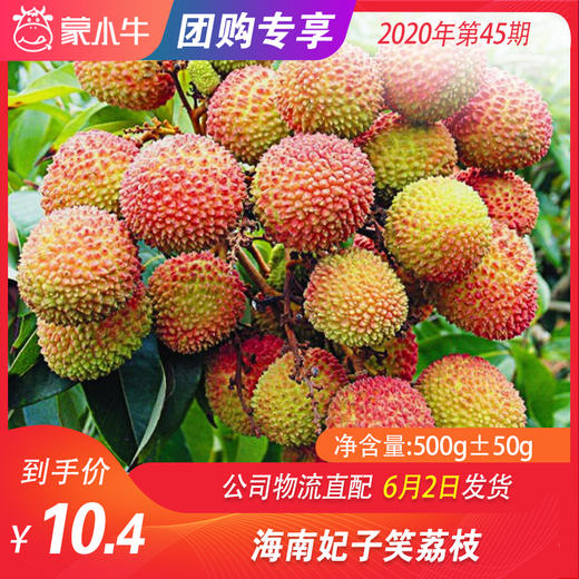 【水果团购】海南妃子笑荔枝500g±50g 商品图0