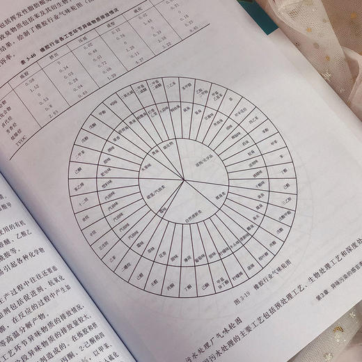 异味污染的感官表征与暴露评估方法 商品图4