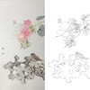 张莉莉竖幅没骨画工笔花鸟白描底稿 ZA15 商品缩略图0
