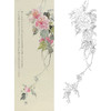 张莉莉竖幅没骨画工笔花鸟白描底稿 ZA18 商品缩略图0