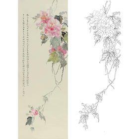 张莉莉竖幅没骨画工笔花鸟白描底稿 ZA18