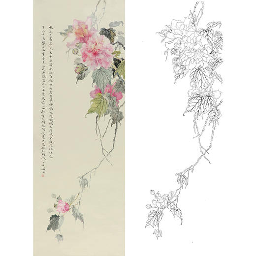 张莉莉竖幅没骨画工笔花鸟白描底稿 ZA18 商品图0