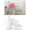 张莉莉没骨画工笔花鸟白描底稿-斗方小品册页 ZA06 商品缩略图0