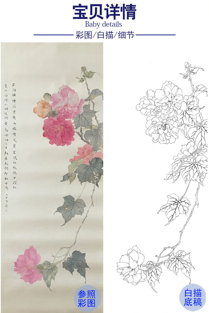 张莉莉没骨画工笔白描底稿 za13