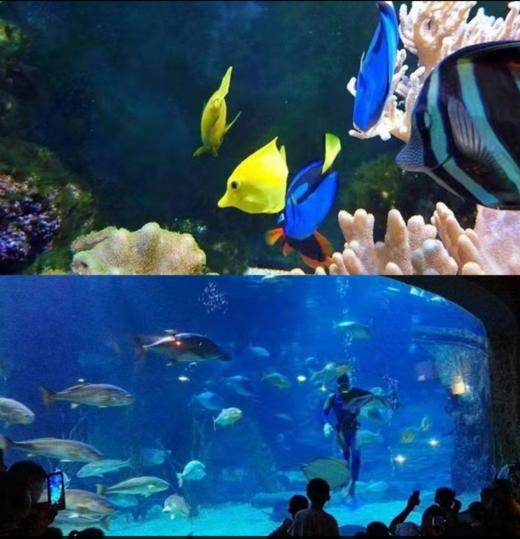 【超值购】2020版《畅游浙江一票通•杭州版》，价值3000元，超40处景点可玩 商品图3