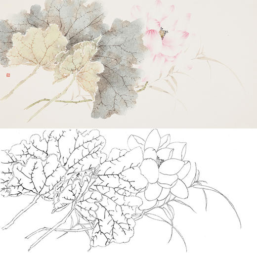 张莉莉横幅没骨画工笔花鸟白描底稿 ZA11 商品图0