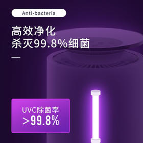 美国舒乐氏（SOLEUSAIR）空气净化器KJ260F-A01