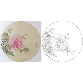 张莉莉没骨画工笔花鸟小品白描底稿 ZA24