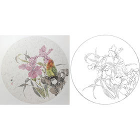张莉莉没骨画工笔花鸟小品白描底稿 ZA28