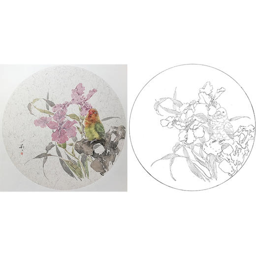 张莉莉没骨画工笔花鸟小品白描底稿 ZA28 商品图0
