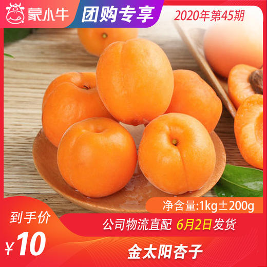 【水果团购】金太阳杏子1KG±200g 商品图0