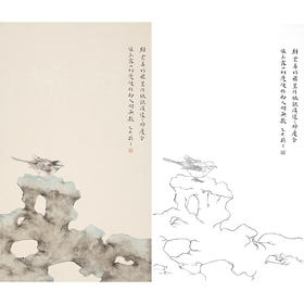 张莉莉竖幅没骨画工笔花鸟白描底稿 ZA20