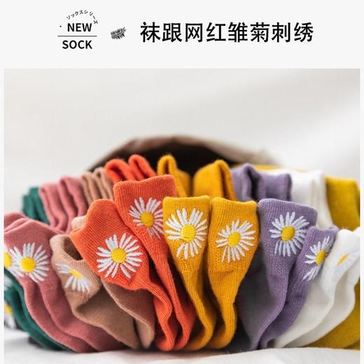 【南极人5/10双】袜子女韩版夏季薄款船袜女浅口短袜日系ins潮袜 商品图6