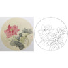 张莉莉没骨画工笔花鸟小品白描底稿 ZA27 商品缩略图0