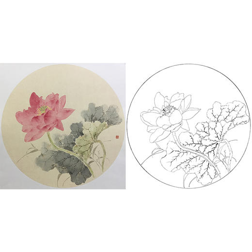 张莉莉没骨画工笔花鸟小品白描底稿 ZA27 商品图0