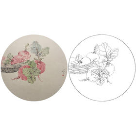 张莉莉没骨画工笔花鸟小品白描底稿 ZA32