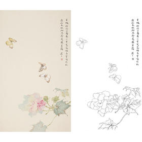 张莉莉竖幅没骨画工笔花鸟白描底稿 ZA23