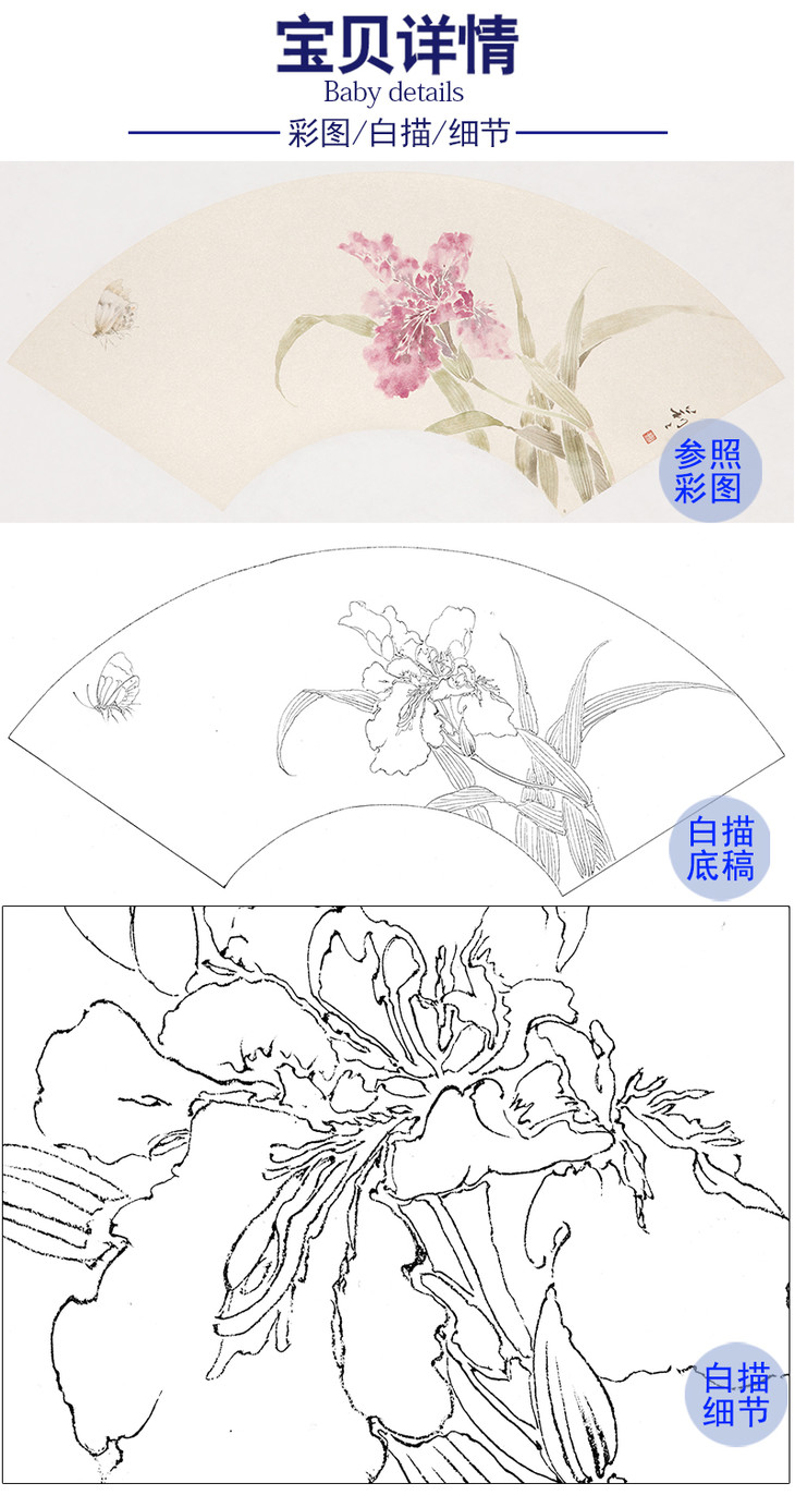 张莉莉没骨画扇面工笔白描底稿萱草za39