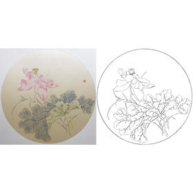 张莉莉没骨画工笔花鸟小品白描底稿 ZA33