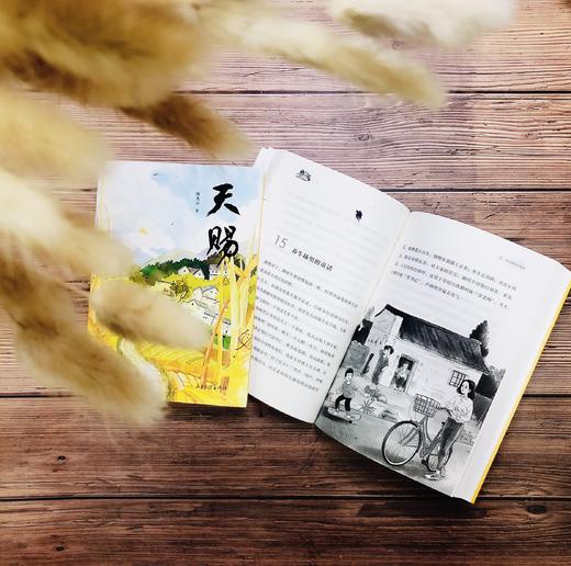 《天赐》：让孩子走近乡村，感受乡土朴实的气息，看故事里的孩子打枣，在细节中体味不同的生活。 商品图1