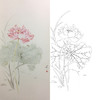 张莉莉竖幅没骨画工笔花鸟白描底稿 ZA17 商品缩略图0