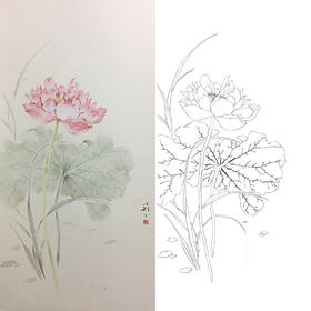 张莉莉竖幅没骨画工笔花鸟白描底稿 ZA17