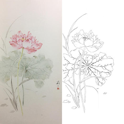 张莉莉竖幅没骨画工笔花鸟白描底稿 ZA17 商品图0