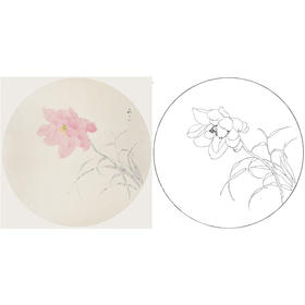 张莉莉没骨画工笔花鸟小品白描底稿 ZA34