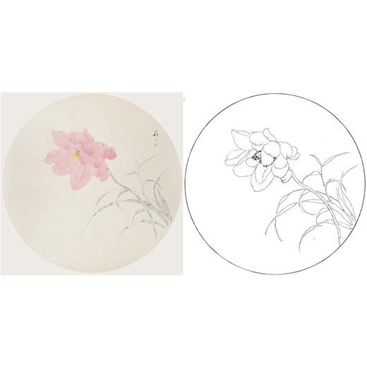 张莉莉没骨画工笔花鸟小品白描底稿 ZA34 商品图0