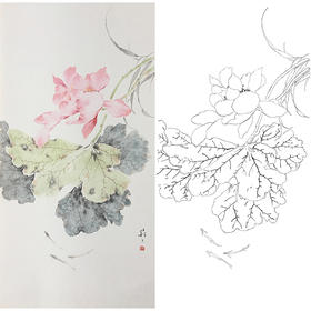 张莉莉竖幅没骨画工笔花鸟白描底稿 ZA14