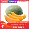 【水果团购】海南丝路晓蜜瓜1KG±100g 商品缩略图0