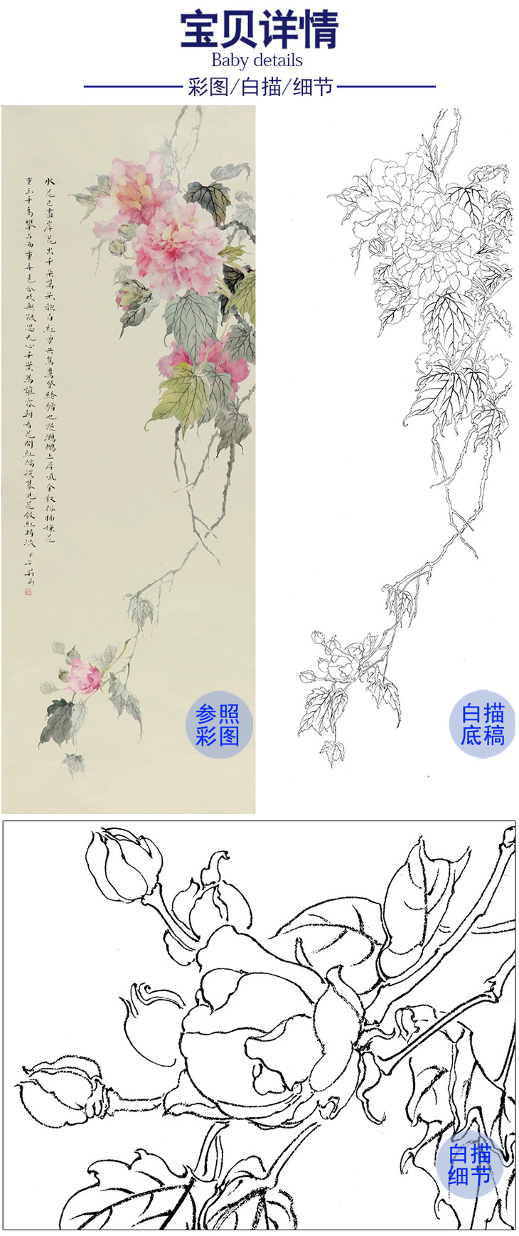 张莉莉没骨画工笔白描底稿 za18