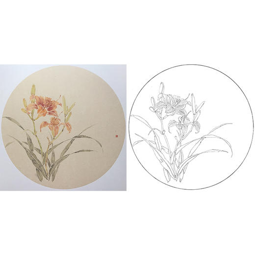 张莉莉没骨画工笔花鸟白描底稿-萱草小品- ZA29 商品图0