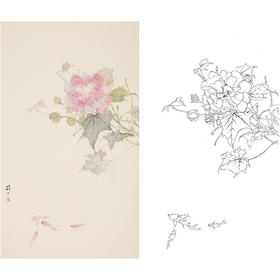 张莉莉竖幅没骨画工笔花鸟白描底稿 ZA22