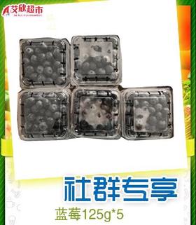 社区团购蓝莓125g*5