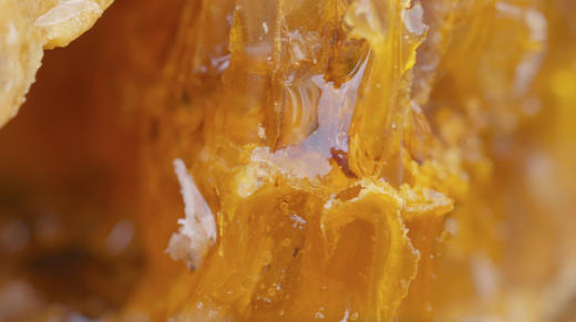 陇南西和土蜂蜜 李叔的蜂蜜 一年只割一次 纯天然无添加的好蜂蜜 商品图2