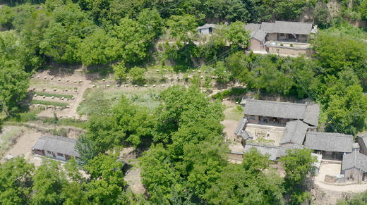 陇南西和土蜂蜜 李叔的蜂蜜 一年只割一次 纯天然无添加的好蜂蜜 商品图1