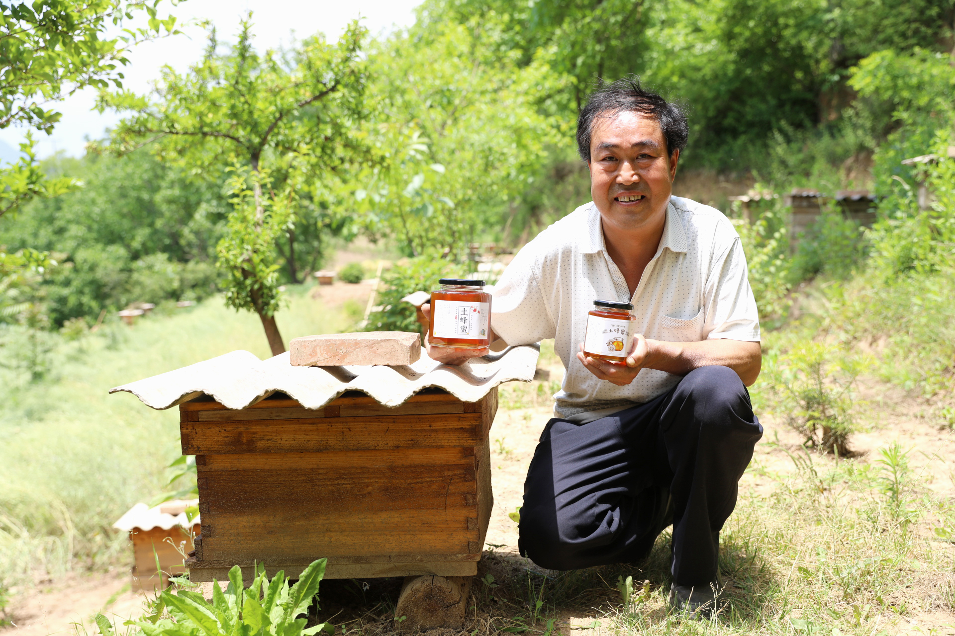 陇南西和土蜂蜜 李叔的蜂蜜 一年只割一次 纯天然无添加的好蜂蜜